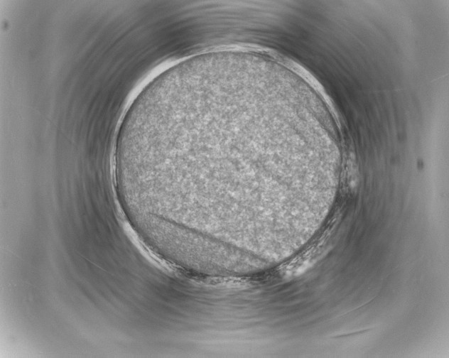 X0000085280811200704092205