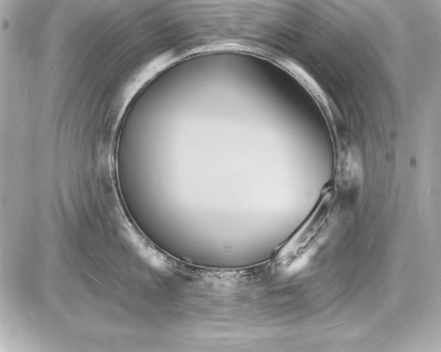 X0000085280813200704092205