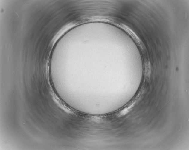 X0000085280814200704092205