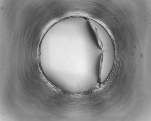 X0000085280815200704092205