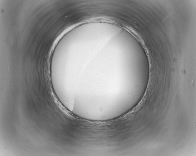 X0000085280816200704092205