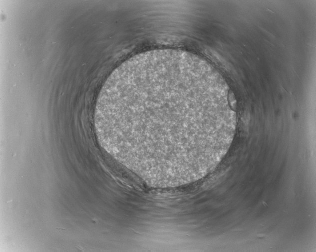 X0000085280817200704092204