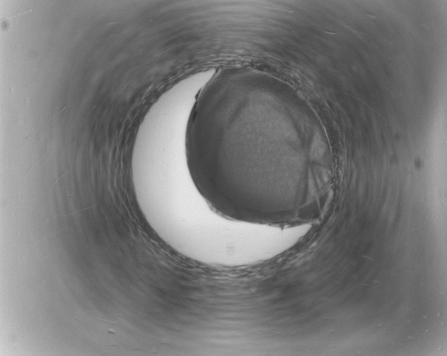 X0000085280818200704092204