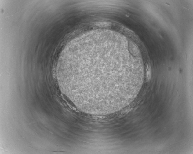 X0000085280819200704092204