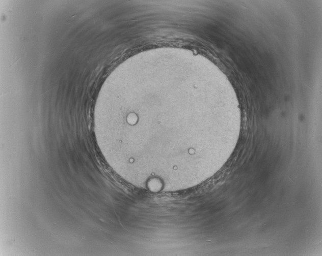 X0000085280820200704092204