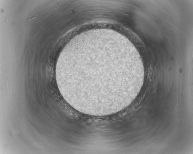 X0000085280821200704092204