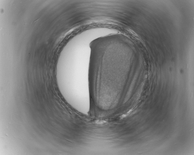 X0000085280822200704092204