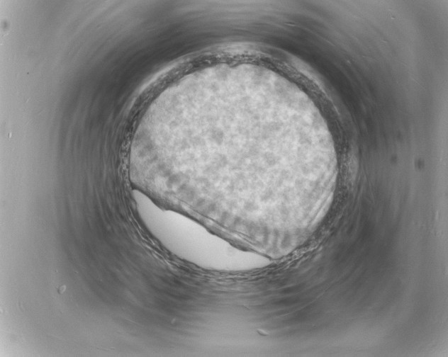 X0000085280823200704092204