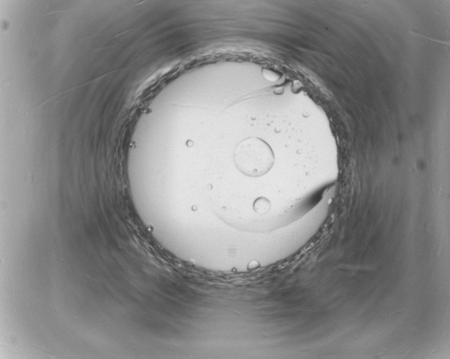 X0000085280824200704092204