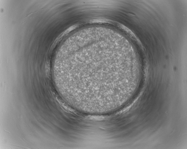 X0000085280825200704092204