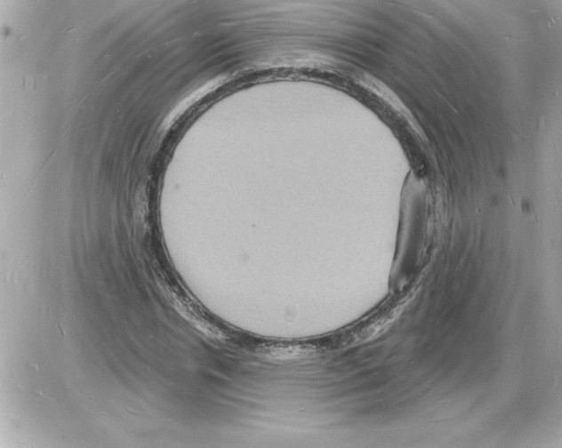 X0000085280826200704092204