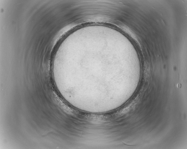 X0000085280831200704092204