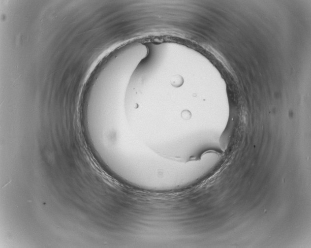 X0000085280832200704092204