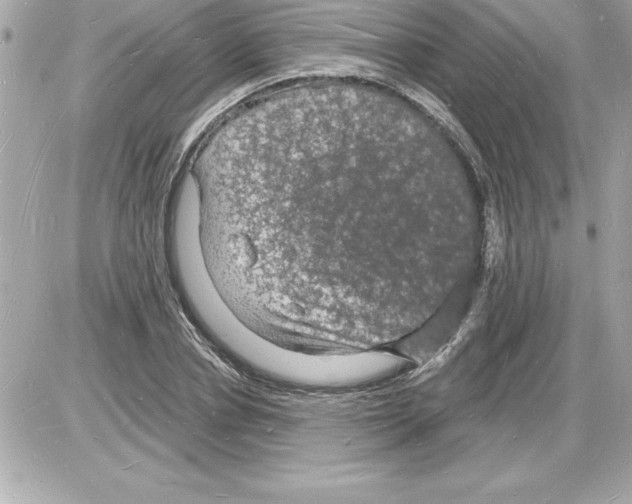 X0000085280834200704092204