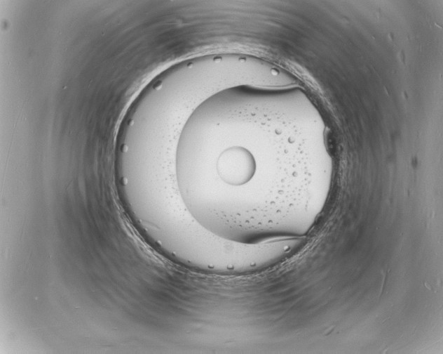 X0000085280836200704092204