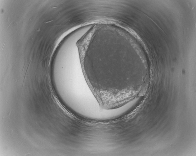 X0000085280838200704092204