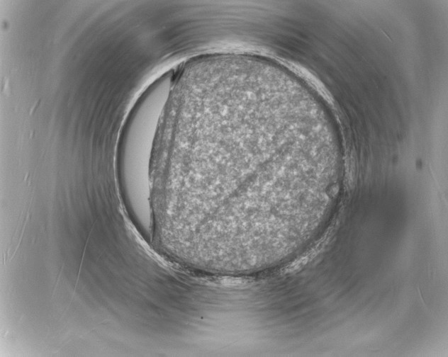 X0000085280839200704092204