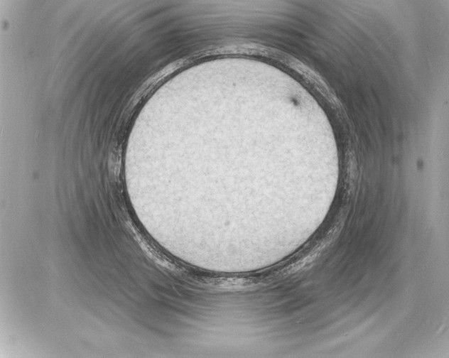 X0000085280841200704092204