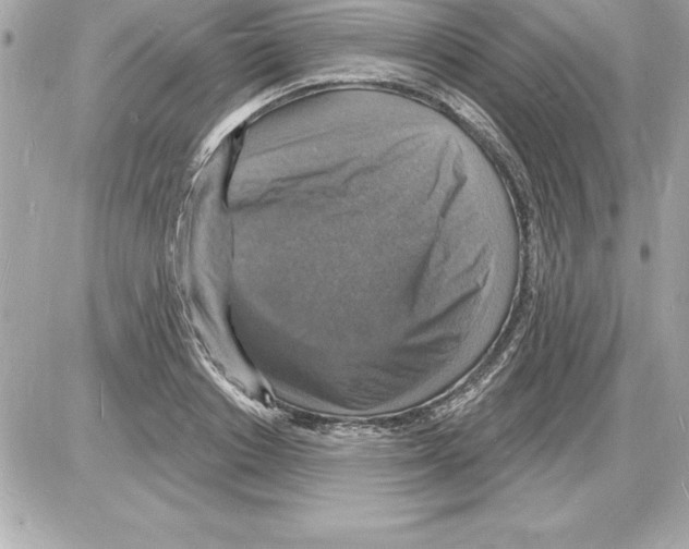 X0000085280842200704092204