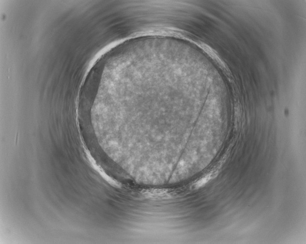 X0000085280846200704092204