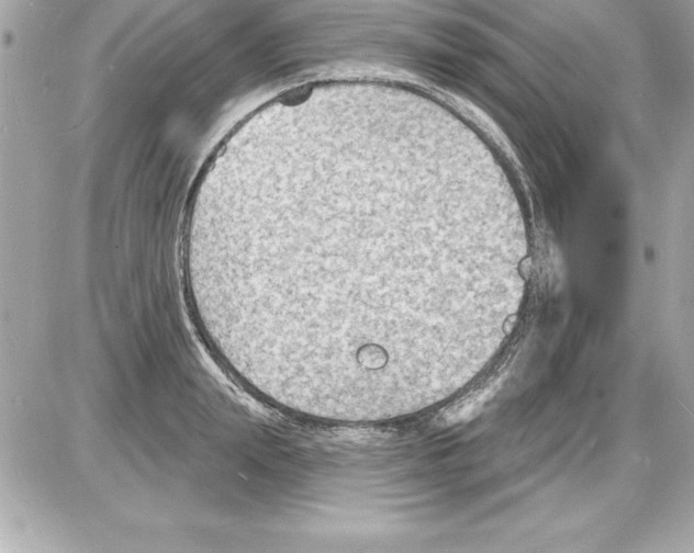 X0000085280847200704092204