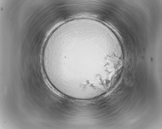 X0000085280848200704092204