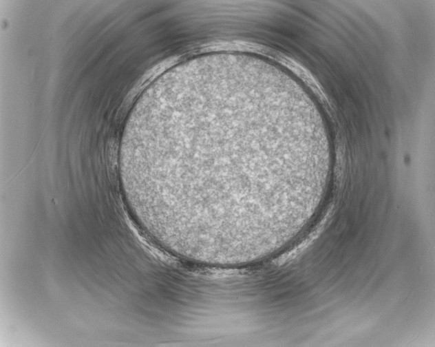 X0000085280849200704092204