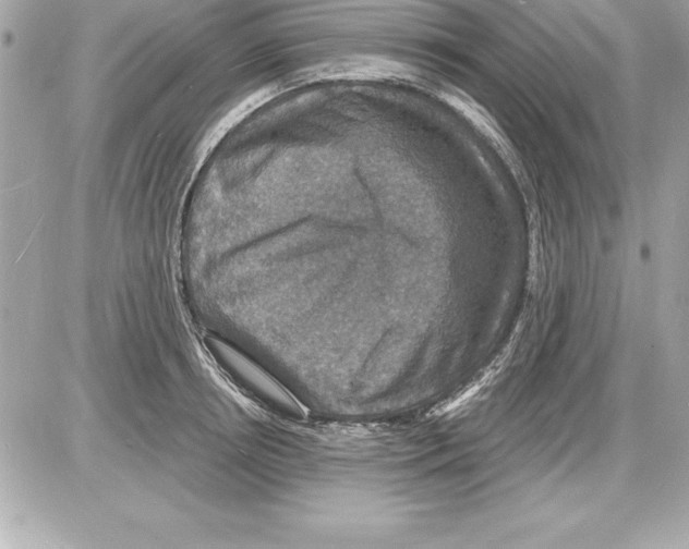 X0000085280850200704092204