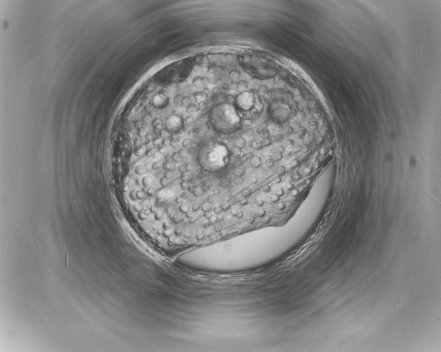 X0000085280851200704092204