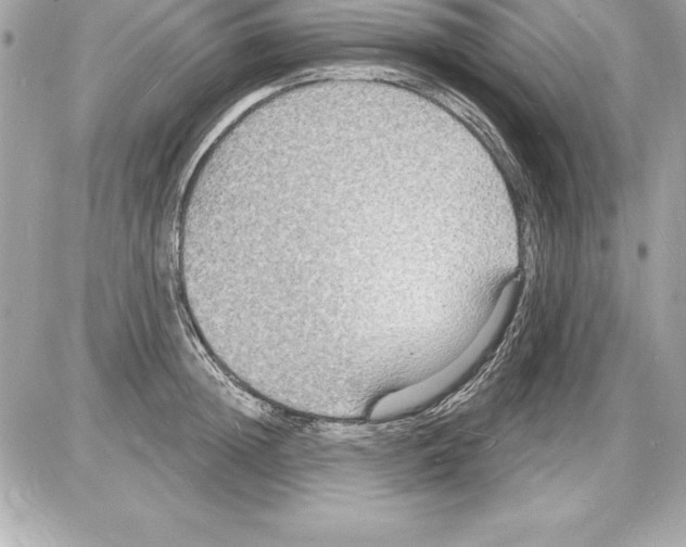 X0000085280852200704092204