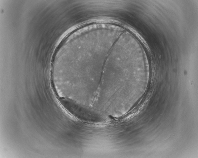 X0000085280853200704092204