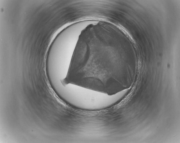 X0000085280854200704092204