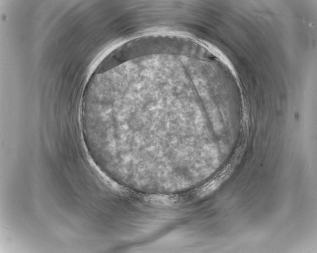 X0000085280855200704092204