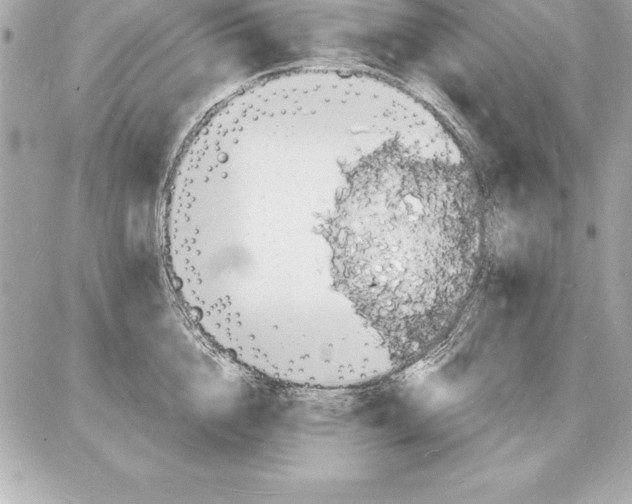 X0000085280856200704092205