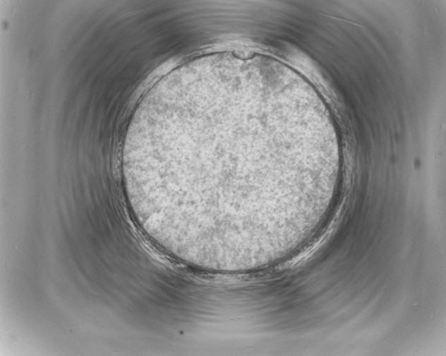 X0000085280857200704092205