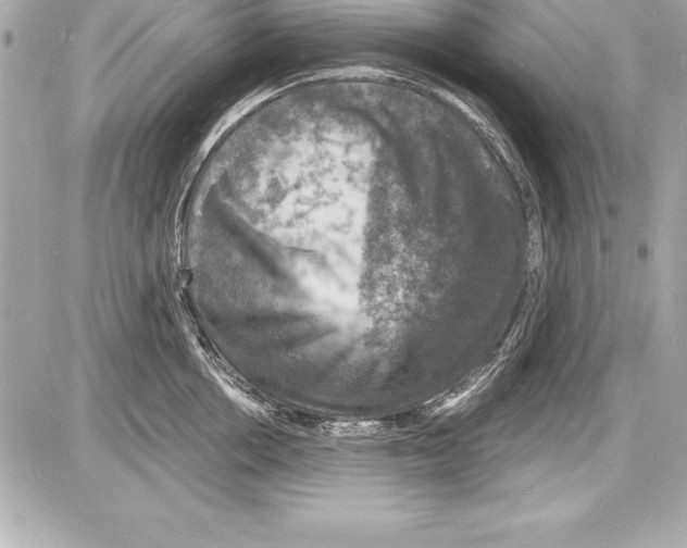 X0000085280858200704092205