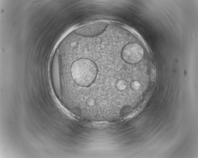 X0000085280859200704092205