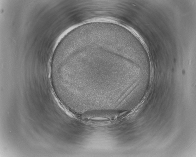 X0000085280862200704092205