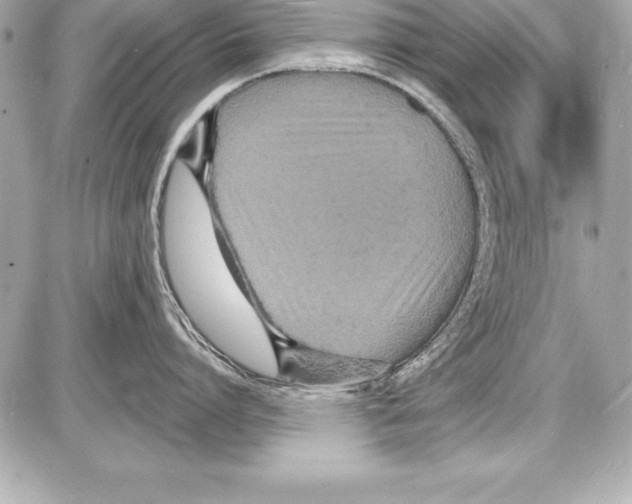 X0000085280864200704092205