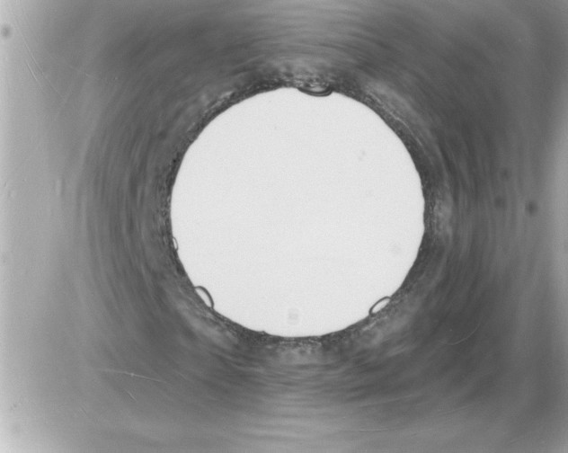 X0000085280865200704092204