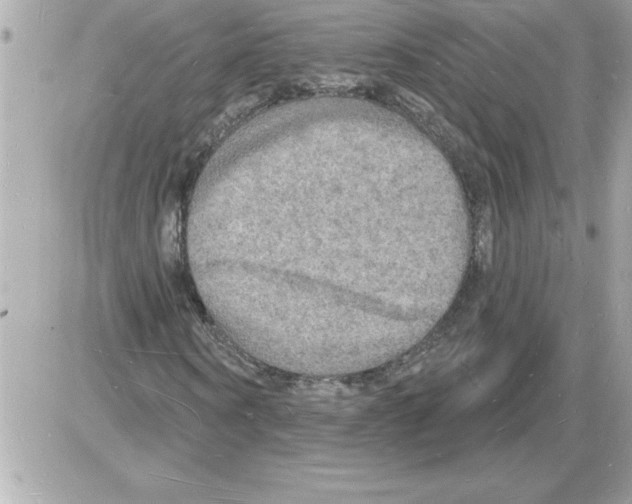 X0000085280866200704092204