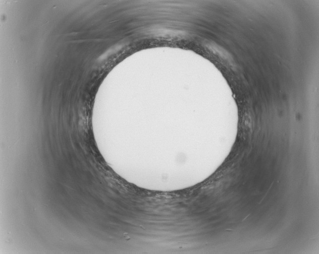 X0000085280869200704092204