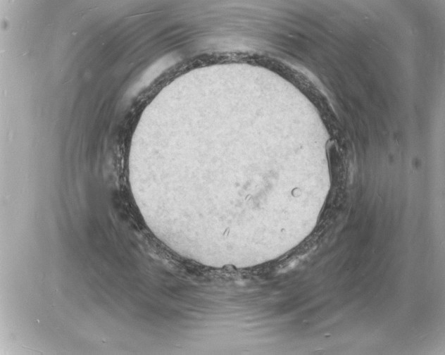 X0000085280871200704092204