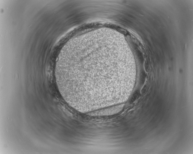 X0000085280872200704092204