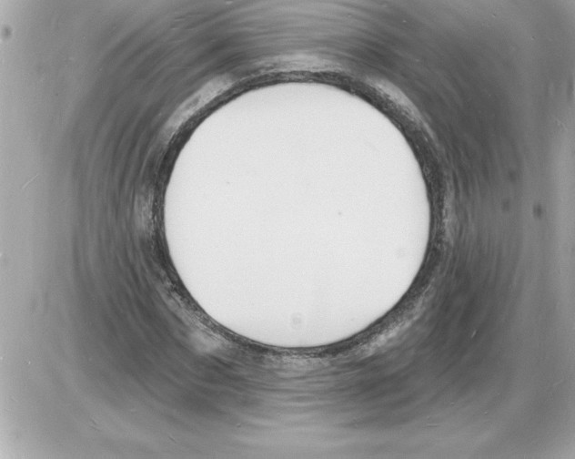 X0000085280873200704092204