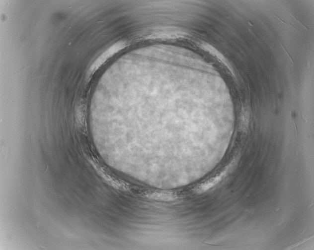 X0000085280874200704092204