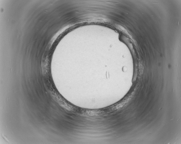 X0000085280875200704092204