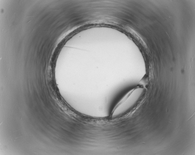 X0000085280876200704092204