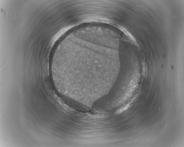 X0000085280877200704092204