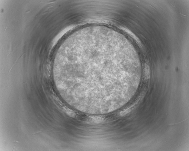 X0000085280878200704092204